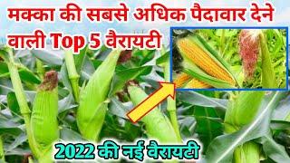 makka ki top 5 variety | makka hybrid seeds | makka ki new variety | makka seeds // makka ki variety