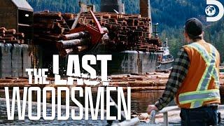 Massive Trees, Big Risks | The Last Woodsmen | Discovery