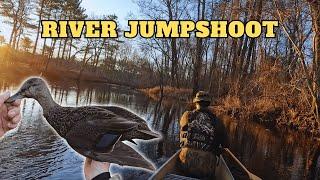 JUMPSHOOTING Ducks on the RIVER (Catch and Cook) Duck Hunting 2025