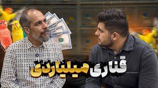همه چیز درمورد قناری !  قناری میلیاردی واقعیه یا نه ؟