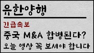 [ 유한양행 ]긴급속보 중국 M&A 인수합병 소식!!  오늘 영상 꼭 보셔야합니다 #유한양행대응 #유한양행주가전망 #유한양행전망 #유한양행목표가