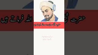 Sheikh Saadi quotes in Urdu | Islamic quotes | #shorts