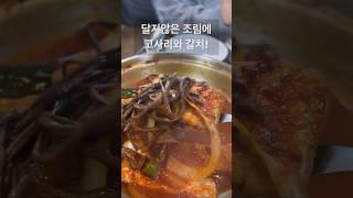 #제주도민맛집 #갈치조림 고사리식당!!! 진짜로 최애맛집 둘이서 3만원에 갈치조림 고등어 계란말이....... 일단 여기는 최고!!