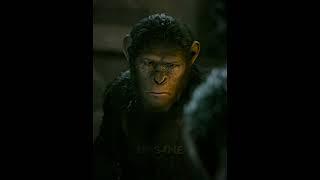 Koba weaker! | Dawn of the Planet of the Apes edit #kingdomoftheplanetoftheapes  #planetoftheapes