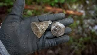 6 лет каналу. Север, один в лесу 20- день. 1941-1945-WWII Metal Detecting