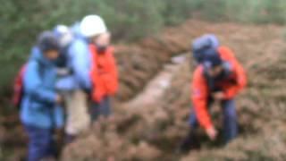 wilderness Scotland 2 - the heather story
