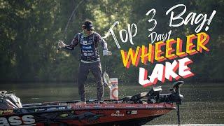 Top 3 Bag on Wheeler Lake AL!!!