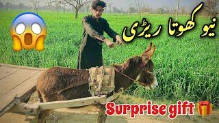 New Khota Rari  Surprise Gift  Daily Vlog /Kashi Village Vlog