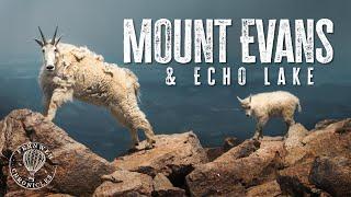 Mount EVANS Colorado | #1 Thing to do in Denver