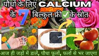 पौधों के लिए कैल्शियम के7️⃣फ्री के स्रोत/Haks of calcium,how to overcome calcium deficiency in plant