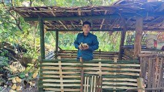 Build a shelter for the duck - khánh / farm building