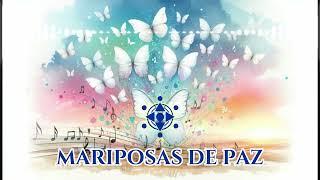 MARIPOSAS DE PAZ (Música instrumental) / José Luis Valle