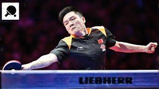 Fan Zhendong - Best Points of 2018