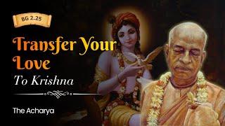 Transfer Your Love To Krishna | Srila Prabhupada | BG 2.25