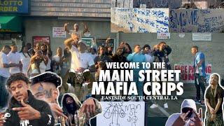 Welcome To The Main Street Mafia Crips! Walkthru Hood Eastside SouthCentral LA +BTS #vlog #trending