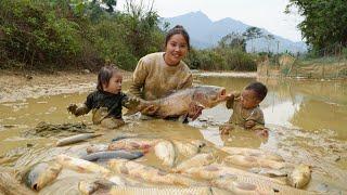 Together with my children, I harvested 45kg of giant fish and brought them to the market to sell