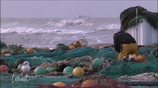 Littoral des 26 et 27 novembre