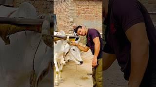 Explore of the day in village ‼️ #rajatfauji #viral #trending #minivlog #ssb #desi #fauji #fyp