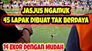 Umpan Jasjus Jambu Ngamuk DiEmpang Lomba Bikin Semua Pemancing Terdiam | #Lombamancing