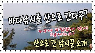 베스트원tv  낚시하러 산으로?