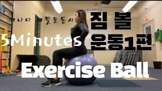 5분 집에서 할수 있는 간단한 5가지 짐볼 코어, 복근, 힙 업 운동 1편 - 운동만[5min gym ball exercise routine -core, hip strength]