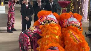 #Singapore  The Fullerton Bay Hotel | Marina Bay promenade walk | management hosts Lions  dance.