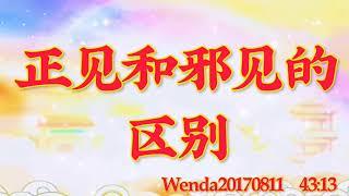 卢台长开示：正见和邪见的区别Wenda20170811   43:13