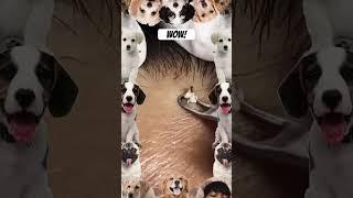 #games #funny #gaming #cat #music #slowedandreverb #aesthetic #sound #rain #cute