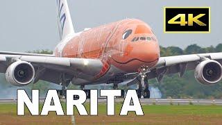 [4K] From observation deck to runway side - Plane spotting at Tokyo Narita Airport  / 成田空港