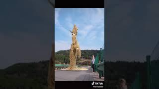 Walk with me  #funny #Respect#Omgmoment #talent#Epicskill #short |BEST CLIP EVER of 2021 #120