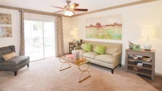 Palms at Sawgrass Mills Apartments in Sunrise, FL - ForRent.com