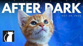 The Cattery AFTER DARK! Oct 29 | Scott Co-host * Happy Halloween! *