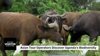 INSIGHTS: ASIAN TOUR OPERATORS DISCOVER UGANDA'S RICH BIODIVERSITY