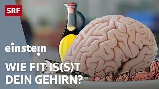 Brainfood - Wie Ernährung unser Gehirn und Verhalten beeinflusst | Einstein | SRF Wissen