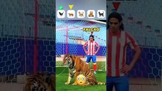 Rare Animals Moments in Football + Tiger 