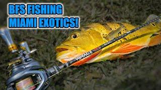 BFS Fishing Miami Canals for Exotic Fishes