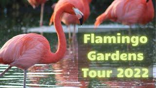 GARDEN TOUR | Flamingo Gardens Tour 2022