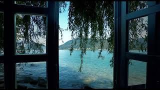 ENERGY HEALING AMBIENCE: Lake side window view... (With classical cello music)