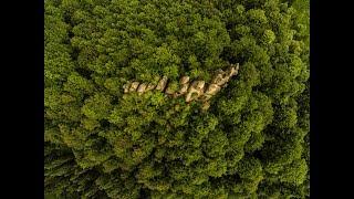 Drone Grand Tour - Tustan Karpaty mountains