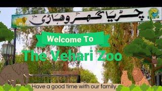 Vehari Zoo / Lion attack / Monkey Ney Cap ly li/ #foryou #videos #funny #lion #viralvideo #vehari