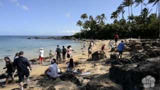 Ultimate Circle Island Oahu Eco-Adventure Tour