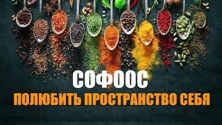 НОВОЕ ЭФИРНОЕ ПОЛЕ ЧЕЛОВЕКА.  СОФООС