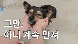 아우웅,, 넘 됴아,,,