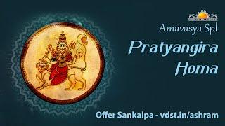 Mahalaya Amavasya Spl Pratyangira Homa | 02 Oct 2024 | Live From VDS Bangalore Ashram