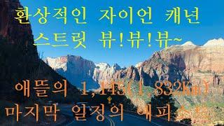 환상적인 자이언(Zion) 캐년 스트릿 뷰! 산 강아지애뜰의 1,145(1,832KM)마일 마지막 일정의 여행 에피소드