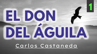 EL DON DEL ÁGUILA | C. Castaneda | Parte 1 | Audiolibro completo | Español latino, voz humana