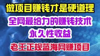 绝对全网最给力的网赚技术！稳定运行3年时间可以实现24小时永久收益！绝对给力！