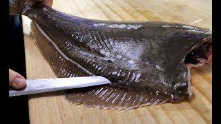 돌가지미 등에는 정말 돌이 박혀있습니다._How tofillet a stone flounder & sashimi  Korean street food