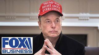 GOP senator reveals the future of DOGE without Elon Musk
