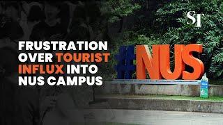 Overcrowding, disruptions: How NUS becoming a tourist hotspot is impacting students